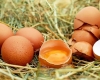 Çırpılmış yumurtanı tavasız necə bişirmək olar?