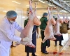 Heyvan və quşların kəsimindən əvvəl hansı tədbirlər həyata keçirilməlidir?