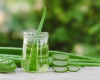 Aloe Veranın faydaları və yan təsirləri nələrdir?