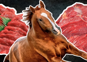 Bu ölkələrdən Avropaya at əti ixracı dayandırıla bilər