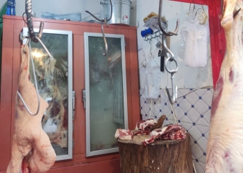 Tərtərdə qanunsuz fəaliyyət göstərən ət satışı məntəqəsi aşkarlanıb