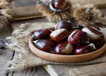 Şabalıd qabığının faydaları