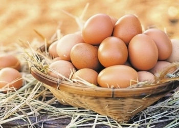 Noyabrda yumurta 15% bahalaşıb