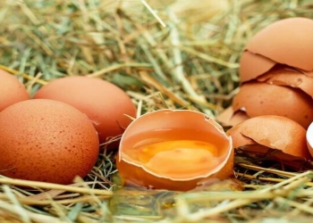 Çırpılmış yumurtanı tavasız necə bişirmək olar?