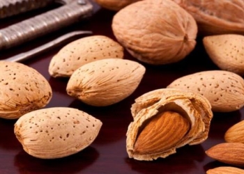 Elm adamları elan etdilər: Dünyanın ən faydalı qidası