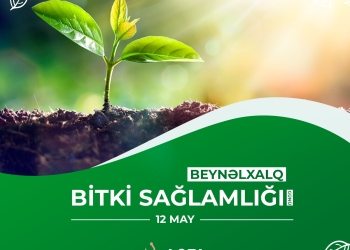 12 May - Beynəlxalq Bitki Sağlamlığı Günüdür