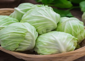 &quot;Xərçəng riskini azaldır&quot;: bu tərəvəz istənilən supermarketdə var