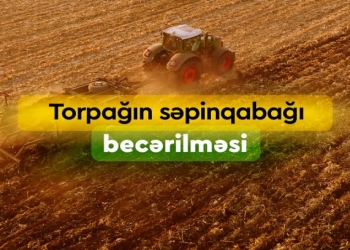 Torpağın səpinqabağı becərilməsi