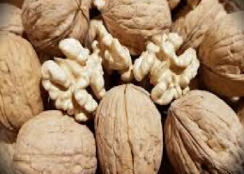 Bu üsulla qozu qorusanız, heç vaxt xarab olmaz