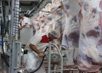 Kəsim məntəqələrində sağlamlığı şübhə doğuran heyvanlarla bağlı hansı tədbirlər görülməlidir?