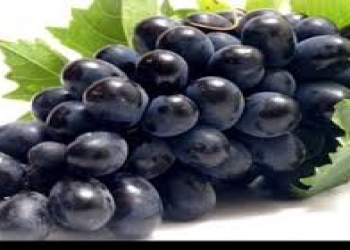 Qara üzümün faydaları
