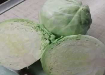 Kələm yeməklə necə arıqlamaq olar?
