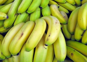 Banan yeməyin böyrəklər üçün zərərli olduğu doğrudurmu?