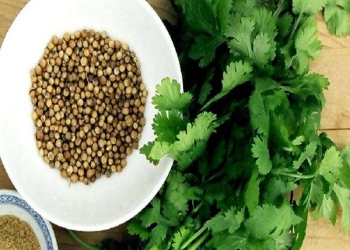 Bu tərəvəz əsəbləri sakitləşdirir