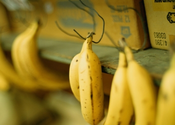 Banan konteynerdə narkotik tapıldı