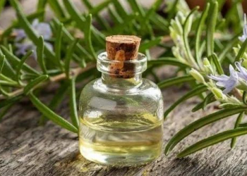 Bu bitki altsheymerdən qoruyur