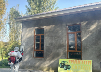 Qaxda qəhvəyi mərmər bağacığına qarşı kompleks mübarizə tədbirləri davam etdirilir