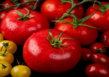 Pomidorları uzun müddət təzə saxlamağın sadə üsulu