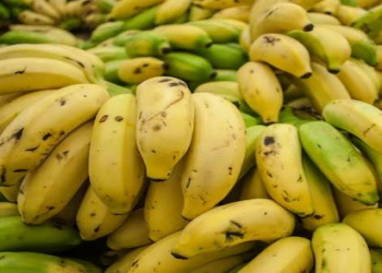 Dünyanın ən çox istehsal edilən meyvəsi nədir?