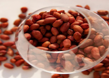 Bu qida beyin damarlarının fəaliyyətini yaxşılaşdırır