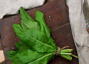 Turşəngin faydaları nələrdir?