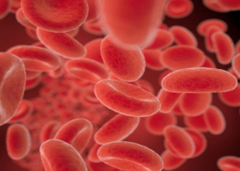 Qan azlığının qarşısını almağın yolları — mütəxəssislər tövsiyə edir