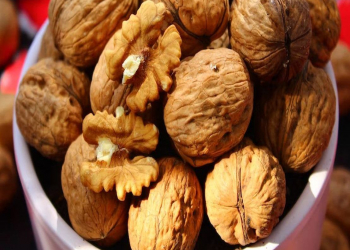 Qoz yemək ömrü belə uzadır