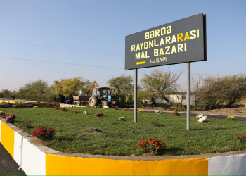 Heyvan bazarlarında rekonstruksiya işləri davam edir