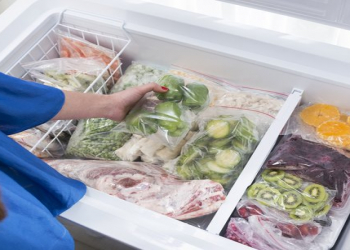 Şok dondurmada vitaminlərin böyük hissəsi qorunur