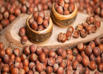 Fındıq ürək sağlamlığını qoruyur və pis xolesterini azaldır