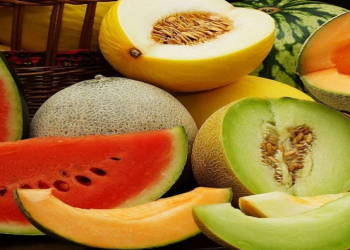 Meyvə və giləmeyvə tumlarının təhlükəsizliyi ilə bağlı yeni araşdırma açıqlanıb