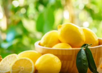 Qoxuya qarşı mübarizə: Bir neçə damcı limon suyu yox edir