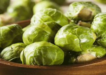 Brüssel kələminin faydaları nələrdir?