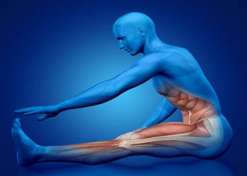 Əzələ itkisi niyə təhlükəlidir?