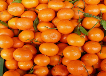 Mandarinin insan üçün maksimal gündəlik norması açıqlanıb