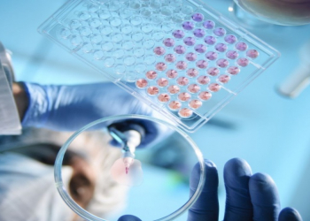 Alimlər immun sistemini cavanlaşdırmağın yeni yolunu tapıblar