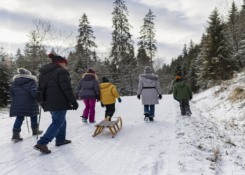 Qış aylarında sağlam və əyləncəli idman növləri açıqlanıb
