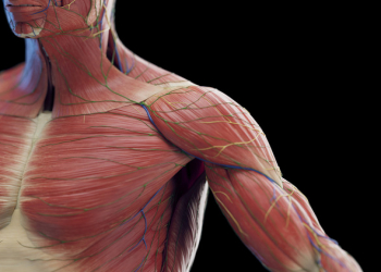 Kalorini kəskin azaltmaq niyə təhlükəlidir? - Məşqçi səbəbi açıqladı