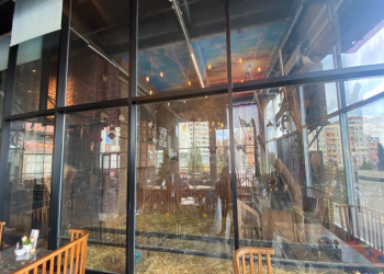 “Kolorit” restoranında heyvanların qanunsuz saxlanıldığı aşkarlandı