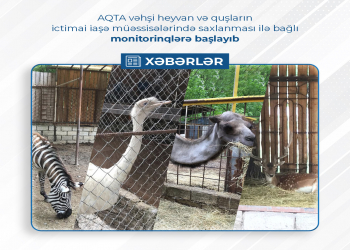 AQTA vəhşi heyvan və quşların ictimai iaşə müəssisələrində saxlanması ilə bağlı monitorinqlərə başlayıb
