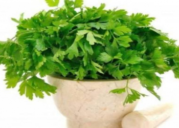 Cəfəridə portağaldan daha çox C vitamini var?