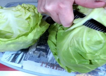 Kələm niyə daha çox süfrədə olmalıdır: dietoloqlar beş əsas üstünlüyü açıqladı