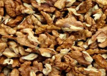 Beynin fəaliyyətini gücləndirən qidalar