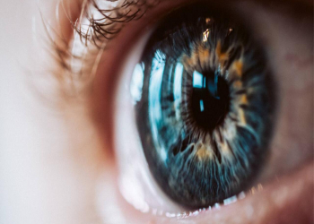 Gözə xeyir olan təbii QİDALAR