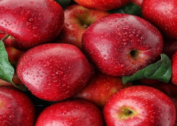 Alma qan şəkərini nizamlayır - Alimlər açıqladı