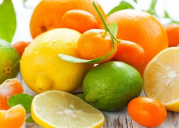 Sitrus meyvələri bu xəstəliklərin qarşısını alır