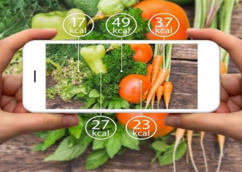 Gündəlik kalori qəbulunu necə hesablamaq olar?