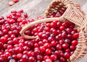 Bədəndə maye yığılmasının qarşısını alan qida