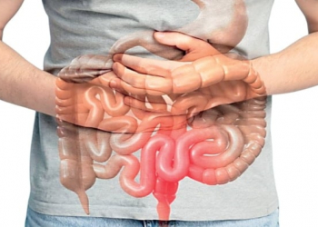 Probiotik və prebiotik arasında fərq nədir?