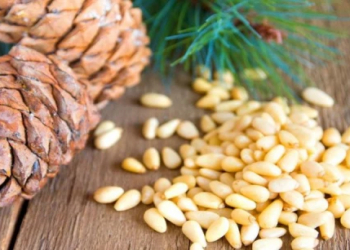 Şam fıstığının sağlamlığa 5 mühüm faydası açıqlanıb